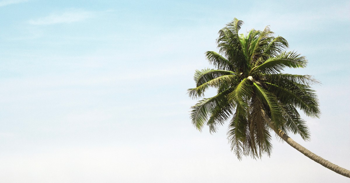 AIA Continues Regional Expansion by Entering the Florida Commercial Insurance Market